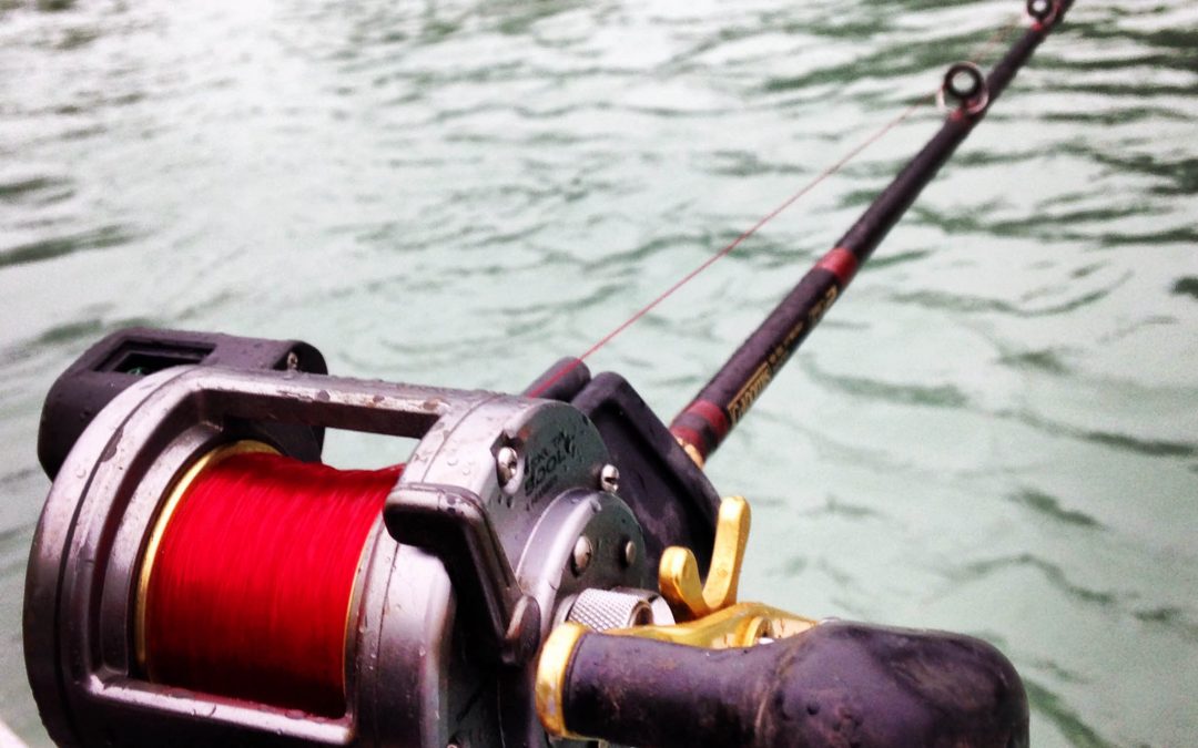 Introducing Discover Alaskan Adventures Guides