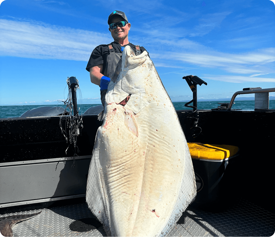 halibut-4